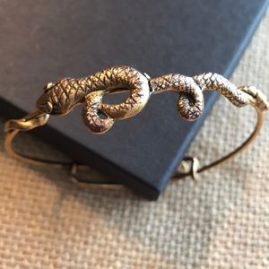 Original 2011 Alex and Ani Snake Bangle RG